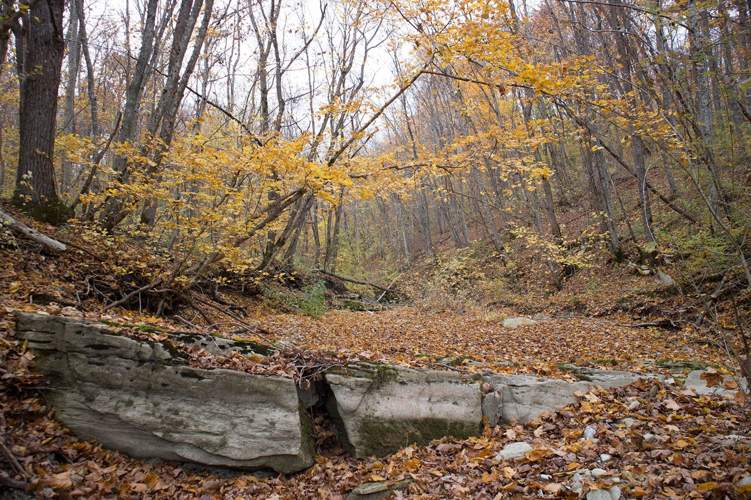 Глубокий Яр, image of landscape/habitat.