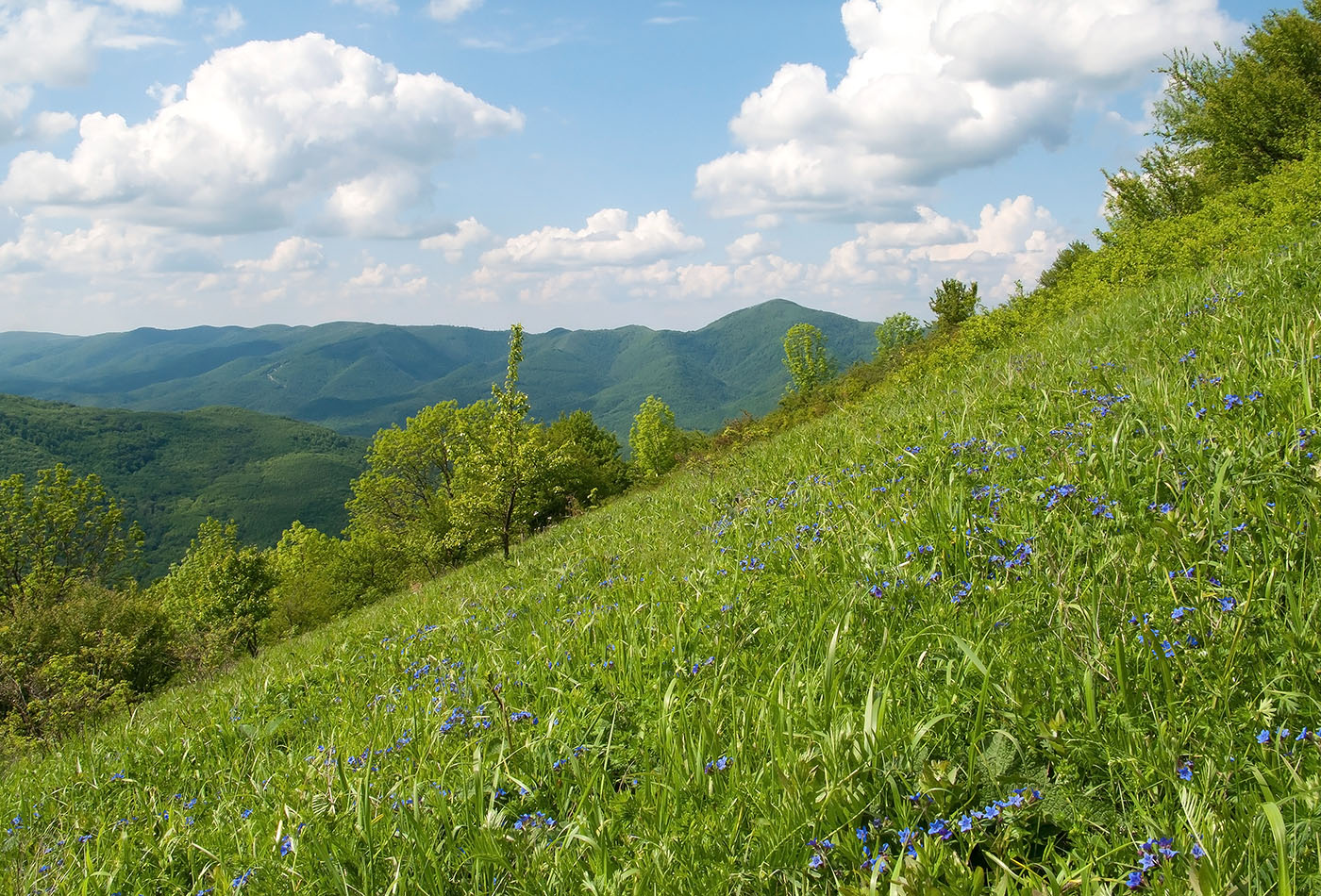 Гора Солдатская, image of landscape/habitat.