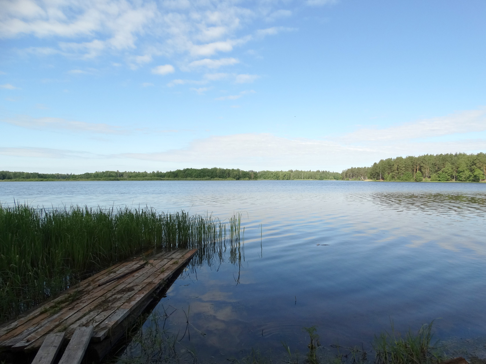 Пустынь, image of landscape/habitat.