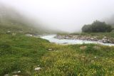 Image of landscape