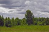 Image of landscape