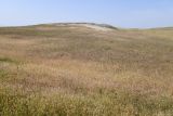 Image of landscape