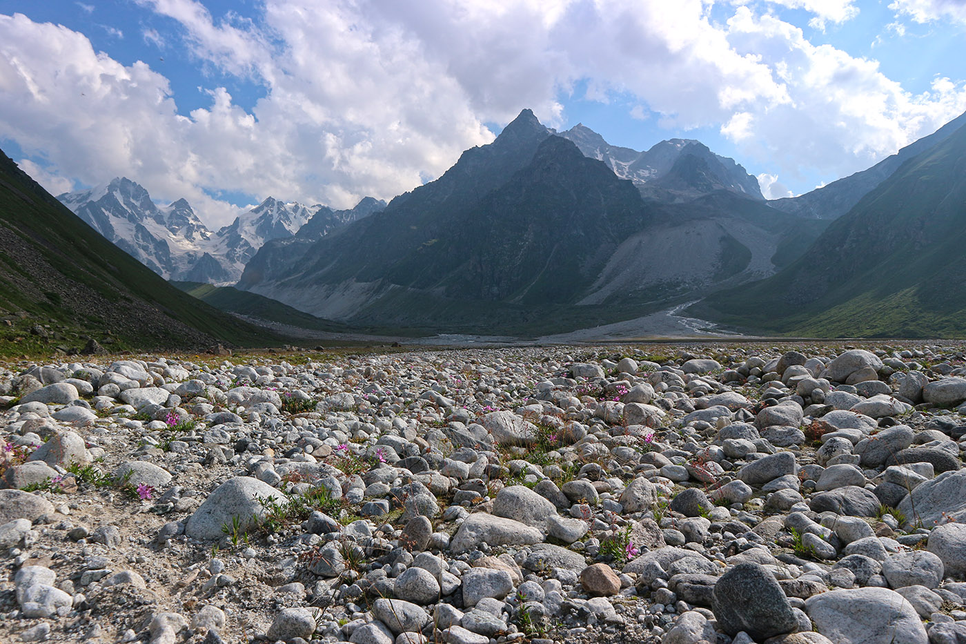 Ледник Псыгансу, image of landscape/habitat.