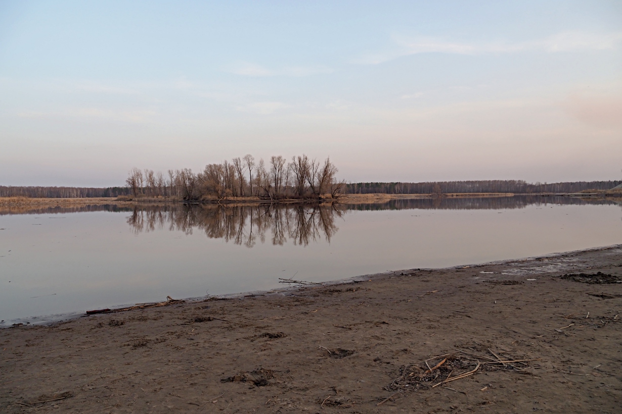 Большой Черемшан, Димитровград, image of landscape/habitat.