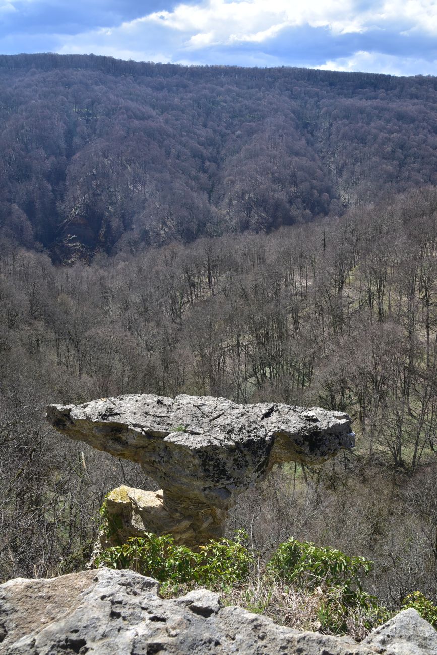 Скала Молоток, image of landscape/habitat.