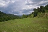 Цинубанская баня, image of landscape/habitat.