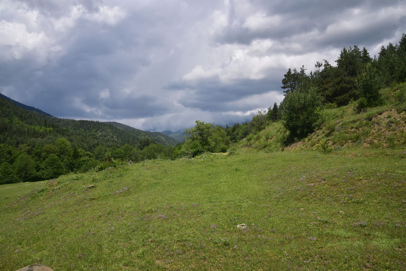 Цинубанская баня, image of landscape/habitat.