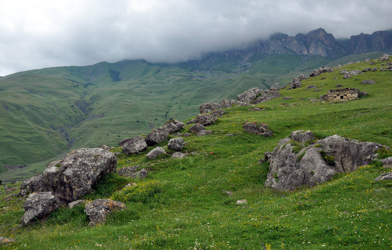 У поселка Верхний Фиагдон, image of landscape/habitat.