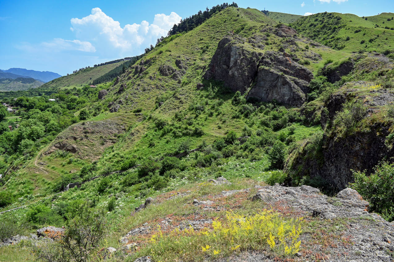 Ацкури, image of landscape/habitat.