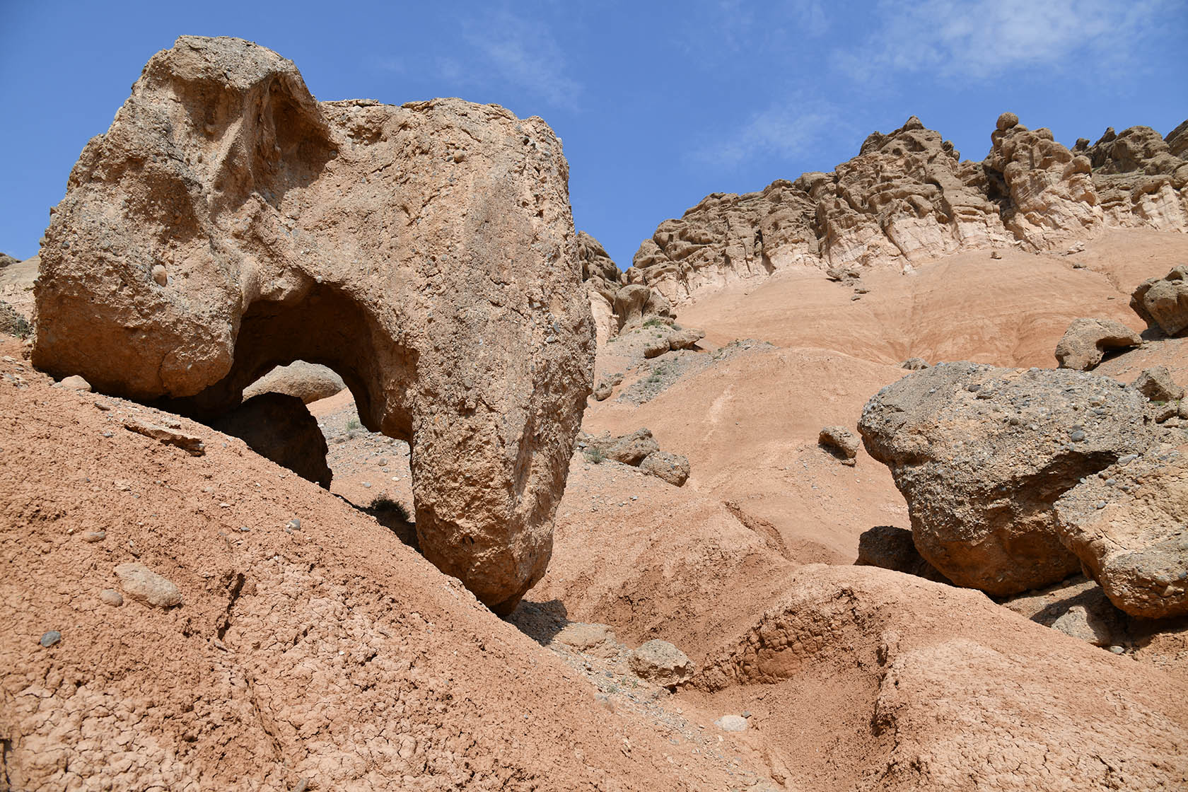 Исфара, image of landscape/habitat.