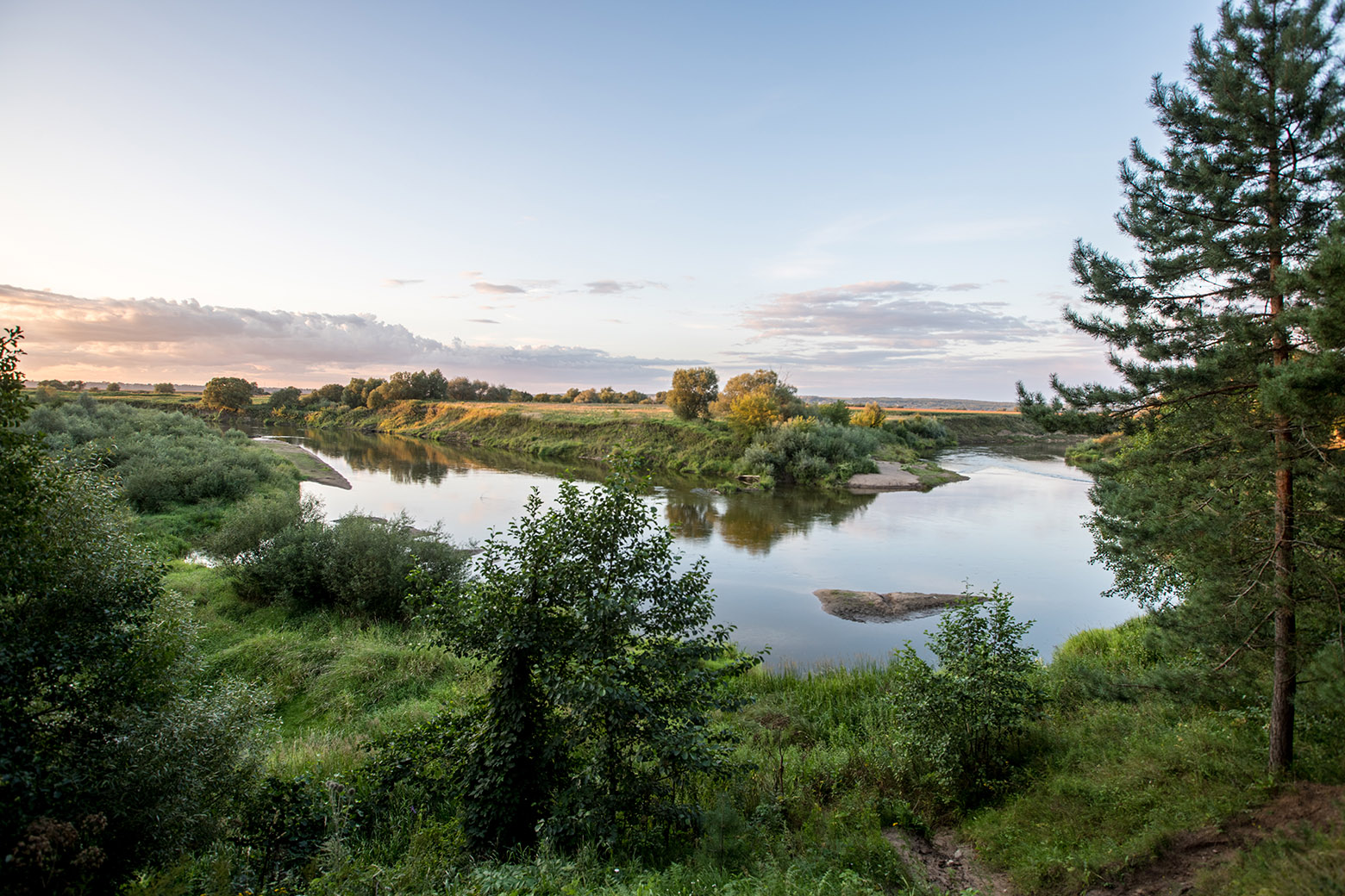 Белые бугры, image of landscape/habitat.