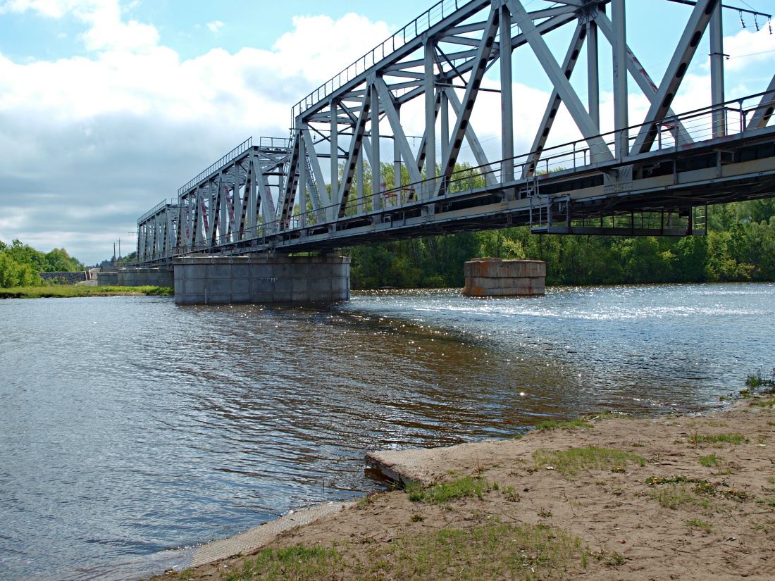 Большой Черемшан, Димитровград, image of landscape/habitat.
