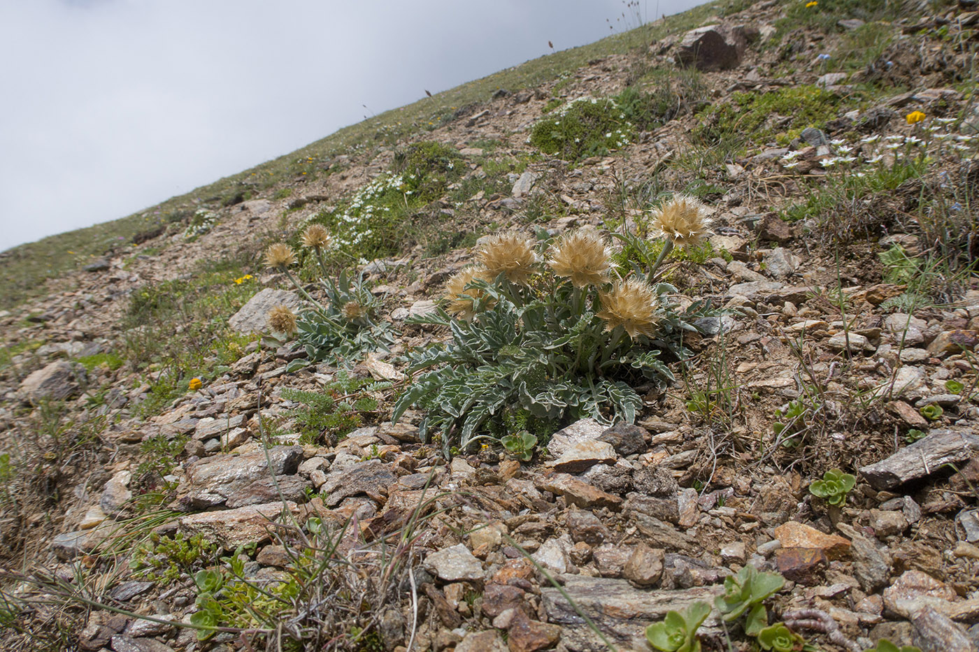 Перевал Школьный (Чегетджара), изображение ландшафта.