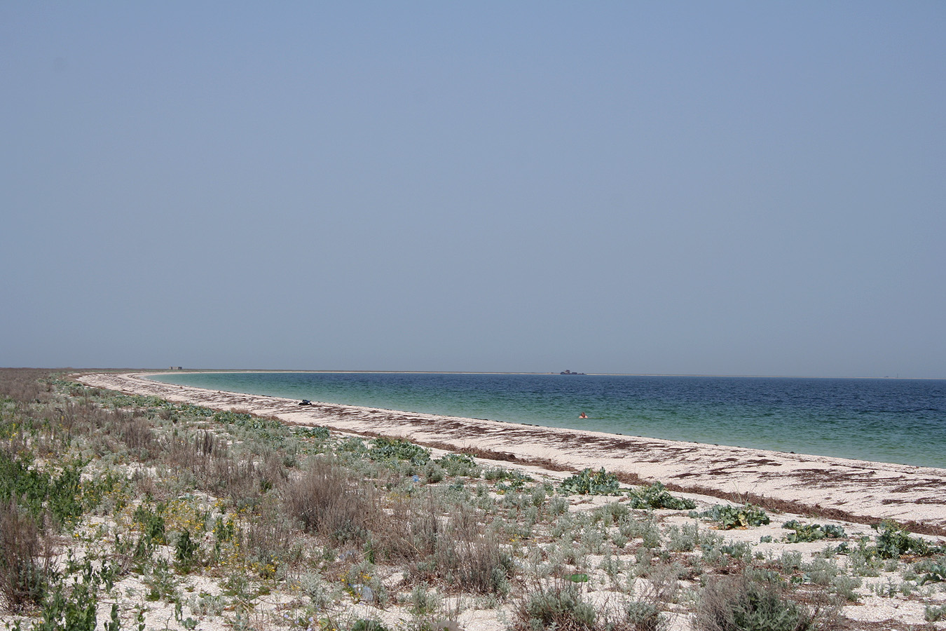 Тендровская коса, заповедник, image of landscape/habitat.