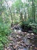 Image of landscape