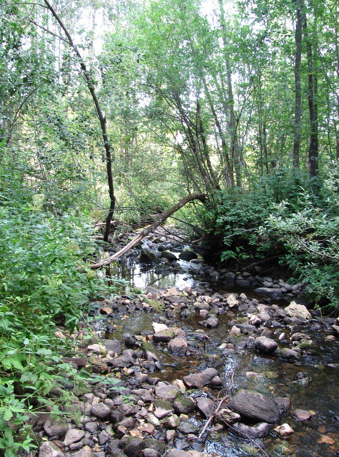 Солгинский, image of landscape/habitat.