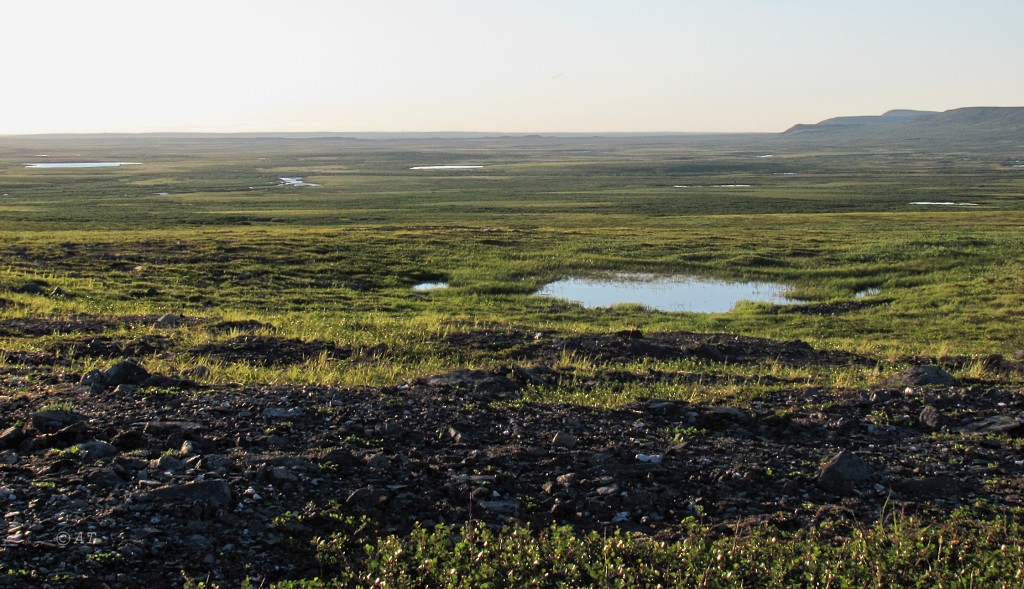 Бадьяшор, image of landscape/habitat.