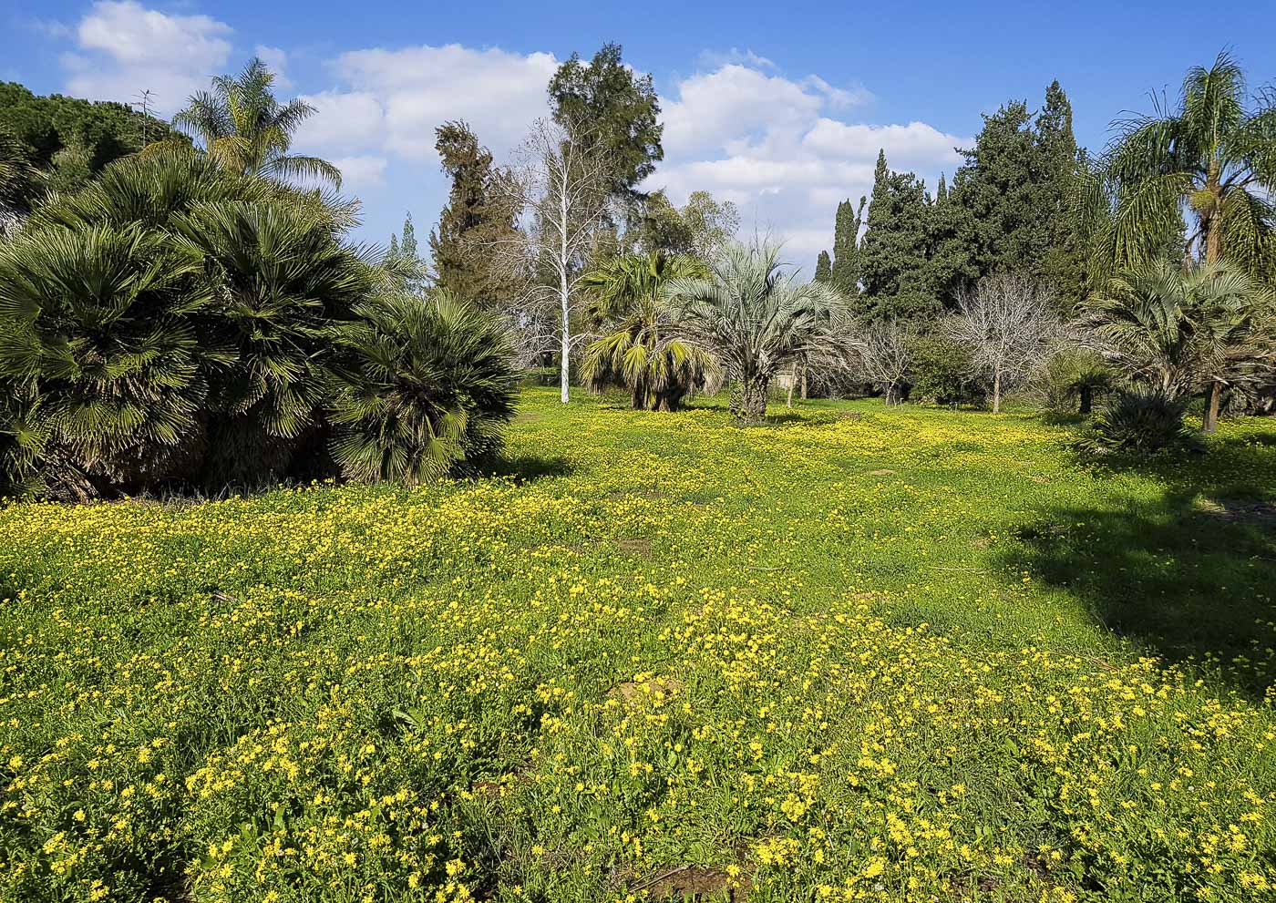 Хават Ганой, image of landscape/habitat.