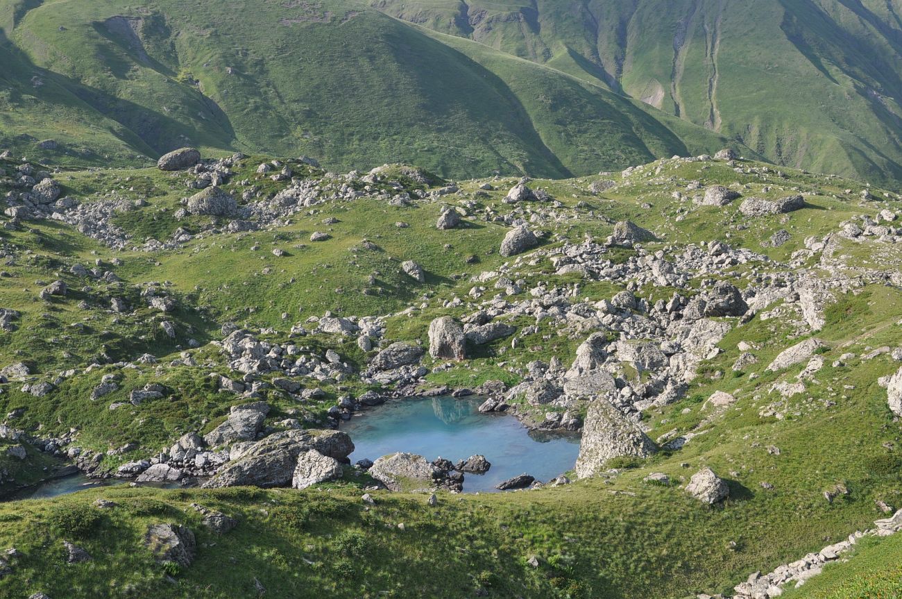 Голубое Абуделаури и окрестности, image of landscape/habitat.