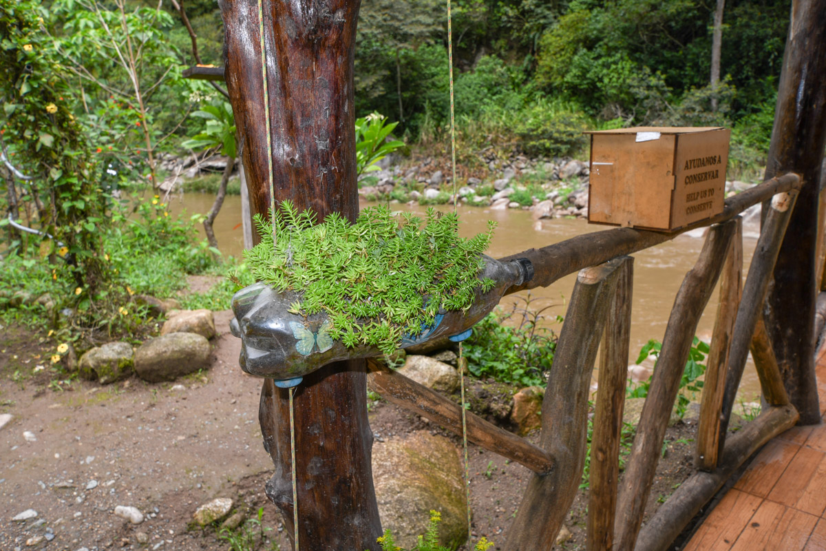 Сад бабочек в Мачу-Пикчу, image of landscape/habitat.