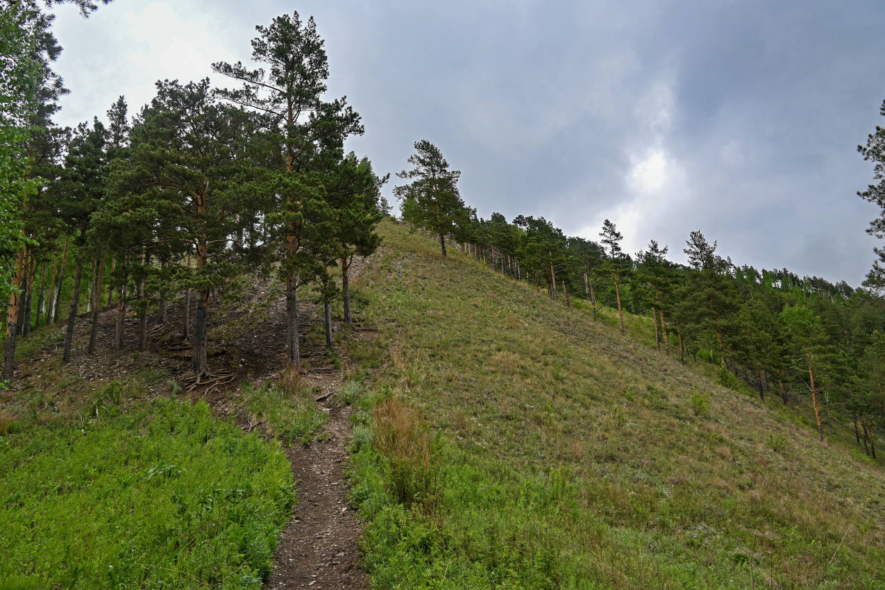 Долина реки Мана, image of landscape/habitat.