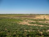 Мервский оазис с пустыней, image of landscape/habitat.