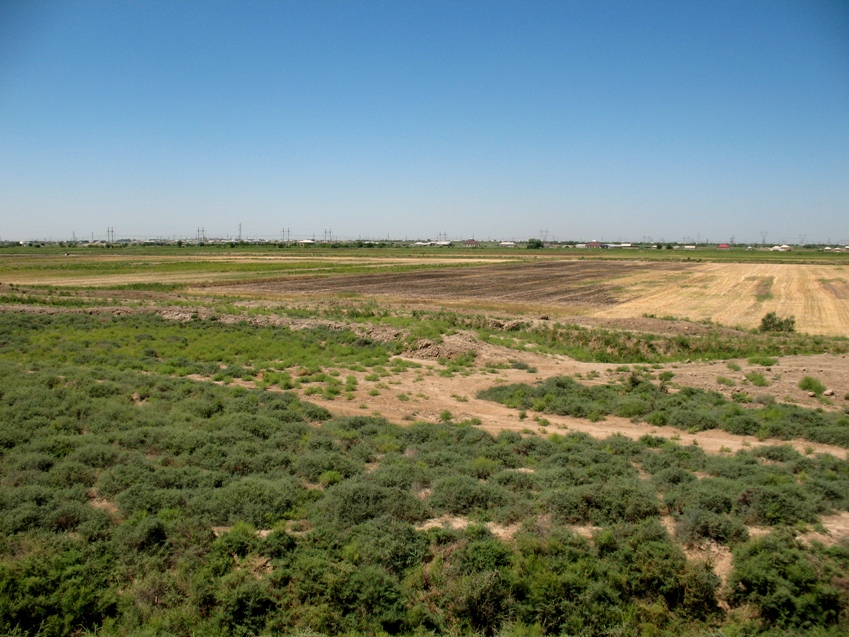 Мервский оазис с пустыней, изображение ландшафта.