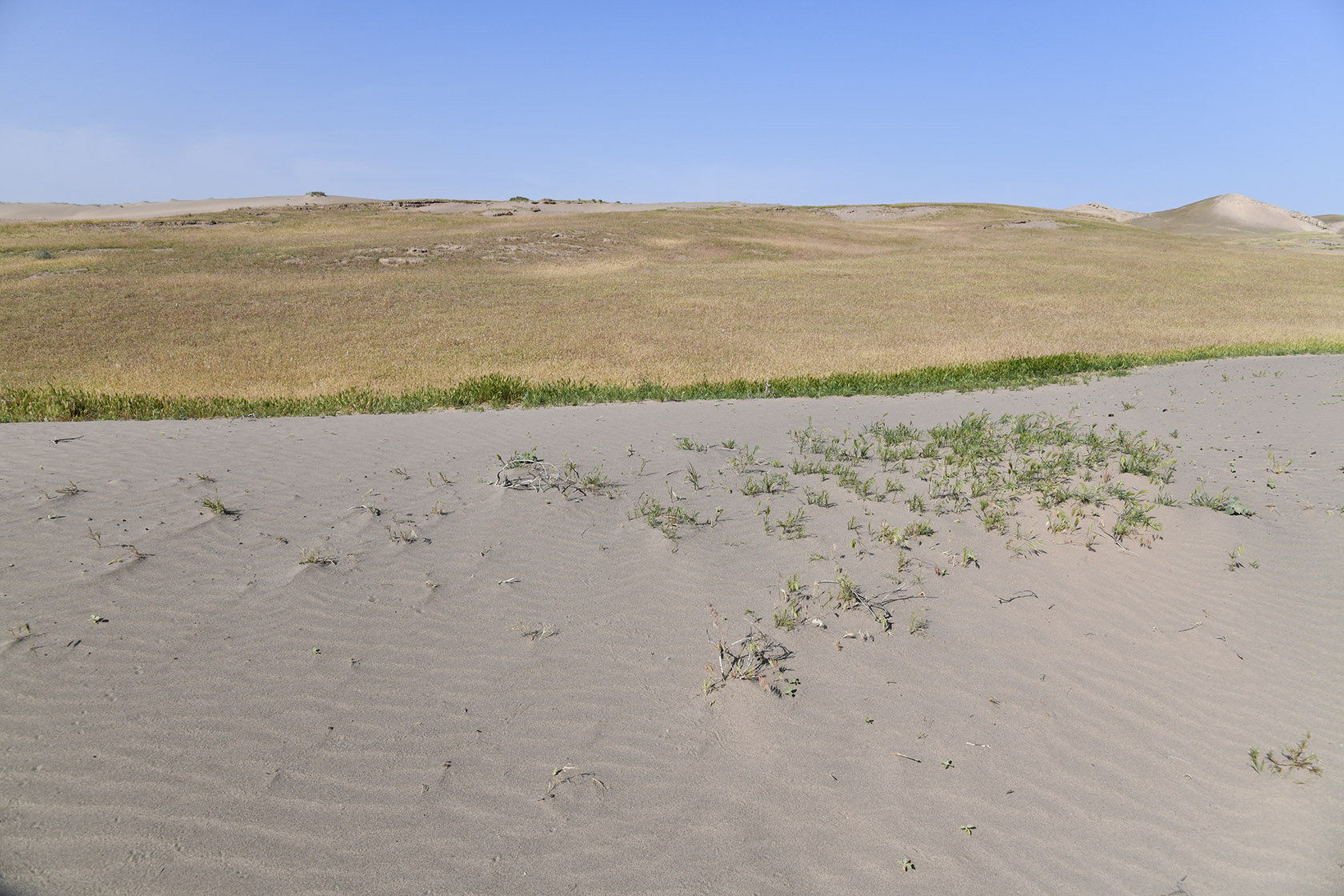 Пески Карадум, image of landscape/habitat.