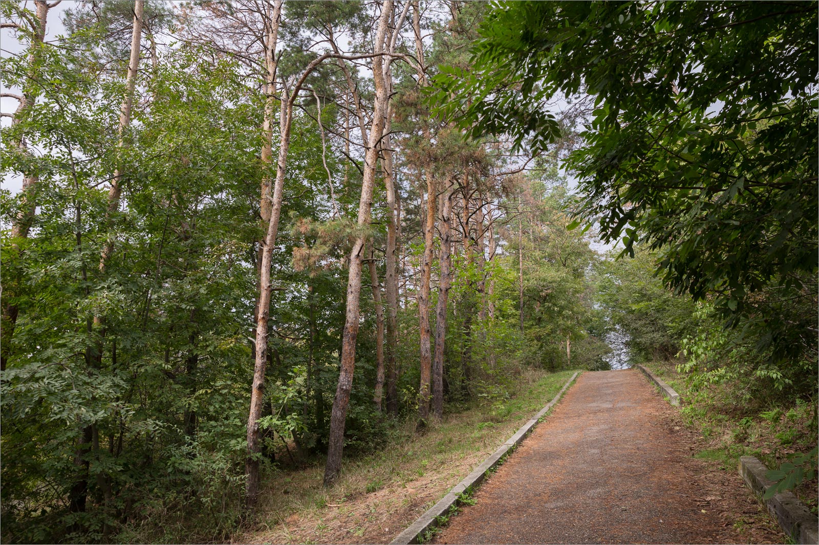 Машук, image of landscape/habitat.
