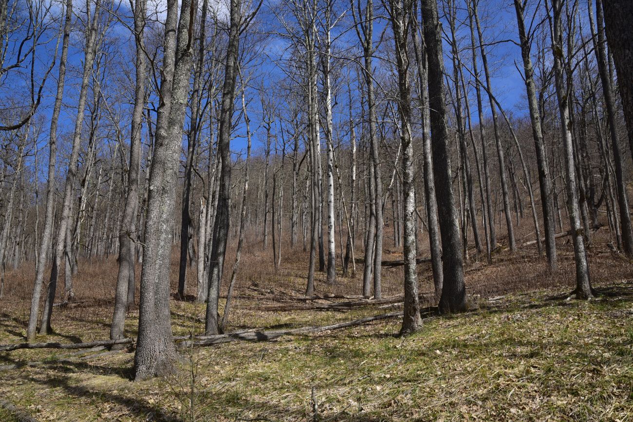 Водопад Космодром, image of landscape/habitat.
