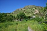 Урочище Тиреби, image of landscape/habitat.