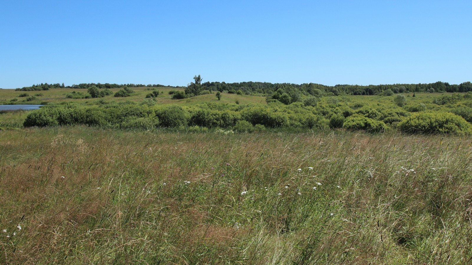 Местечко и окрестности, image of landscape/habitat.