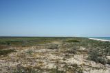 Image of landscape