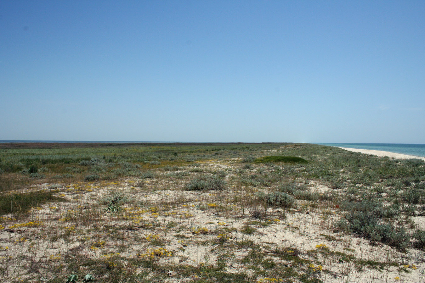 Тендровская коса, заповедник, image of landscape/habitat.