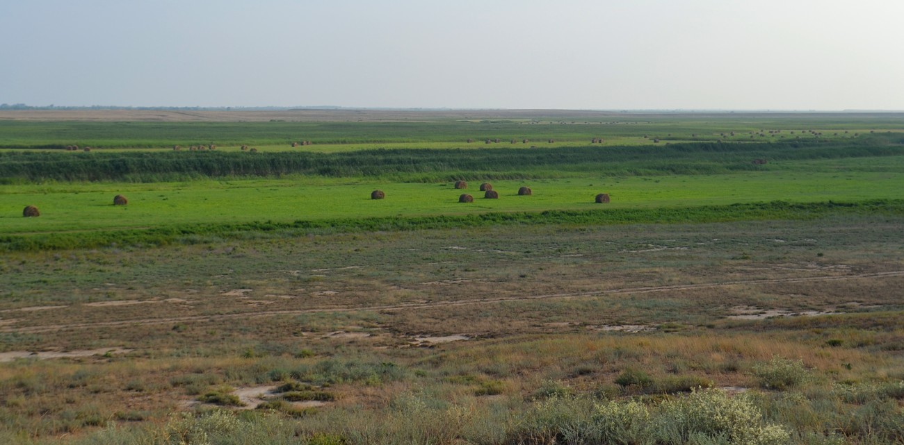 Дельта (средняя зона), image of landscape/habitat.