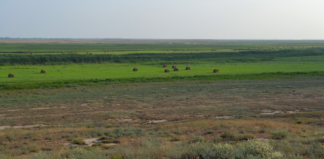 Дельта (средняя зона), изображение ландшафта.