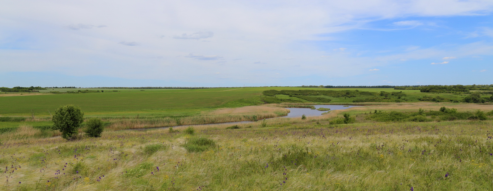 Долина реки М. Еланчик (Ф с/п), image of landscape/habitat.