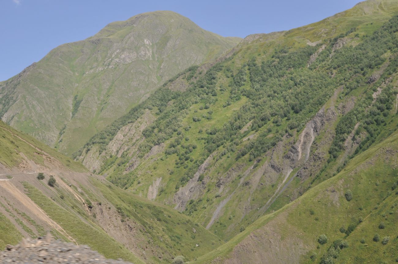 Долина реки Джута, image of landscape/habitat.