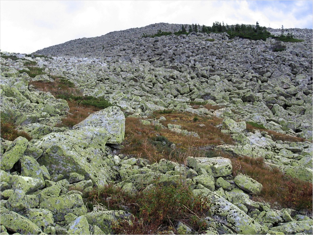 Зигальга, image of landscape/habitat.