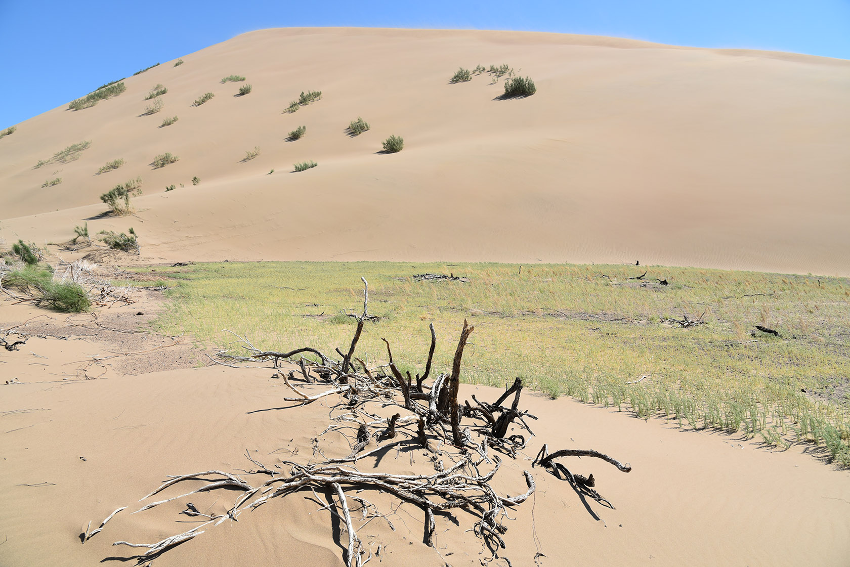 Айгайкум (Поющий бархан), image of landscape/habitat.