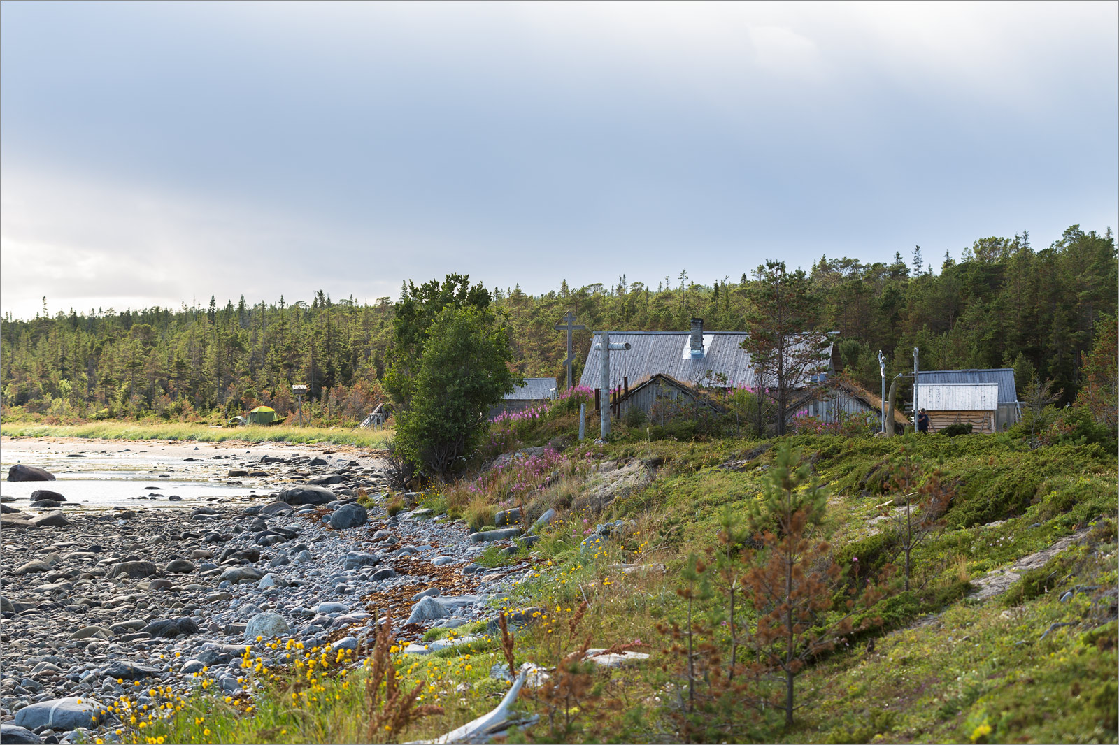 Тоня Тетрина, image of landscape/habitat.