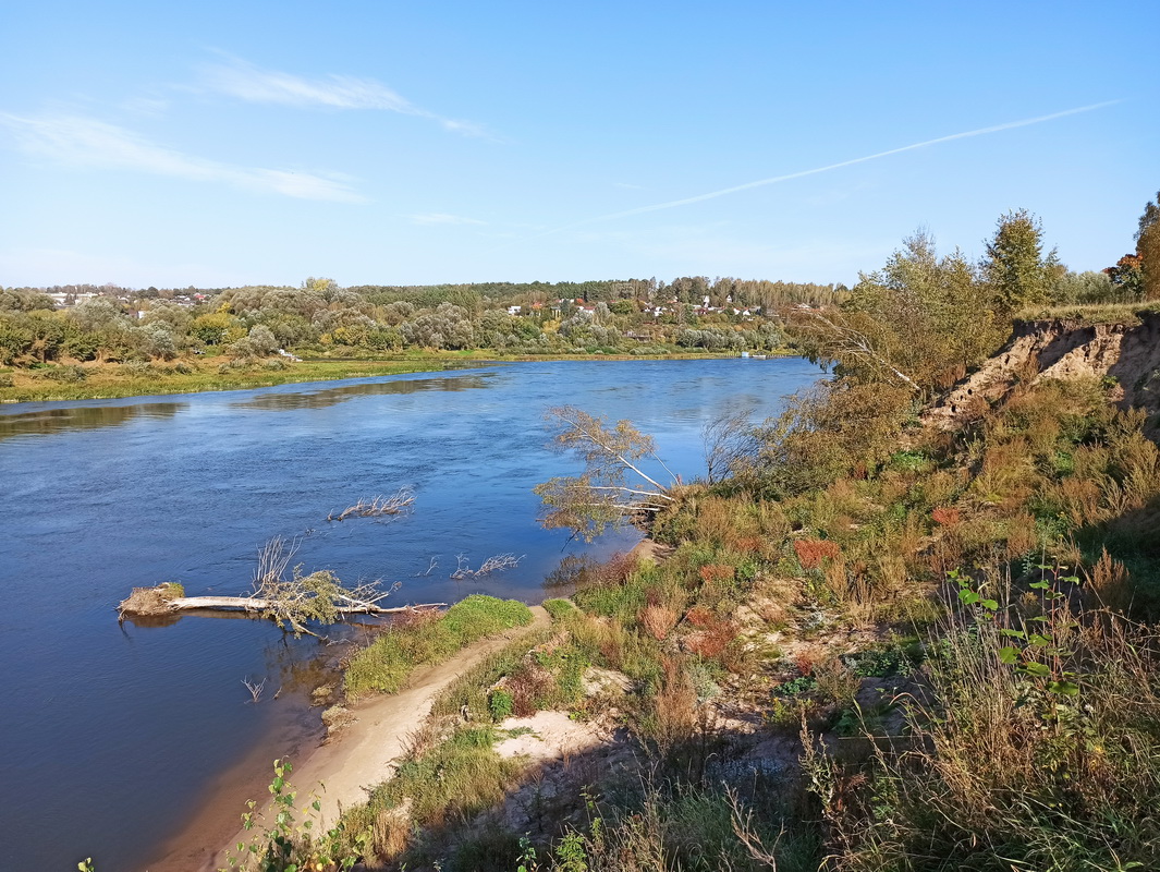 Тарусский луг, image of landscape/habitat.