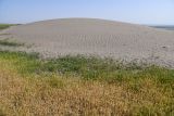 Image of landscape