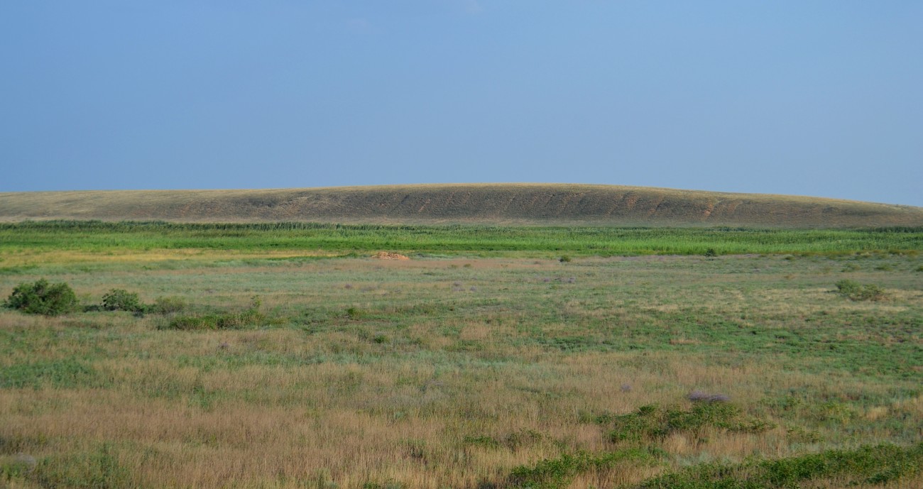 Дельта (средняя зона), изображение ландшафта.