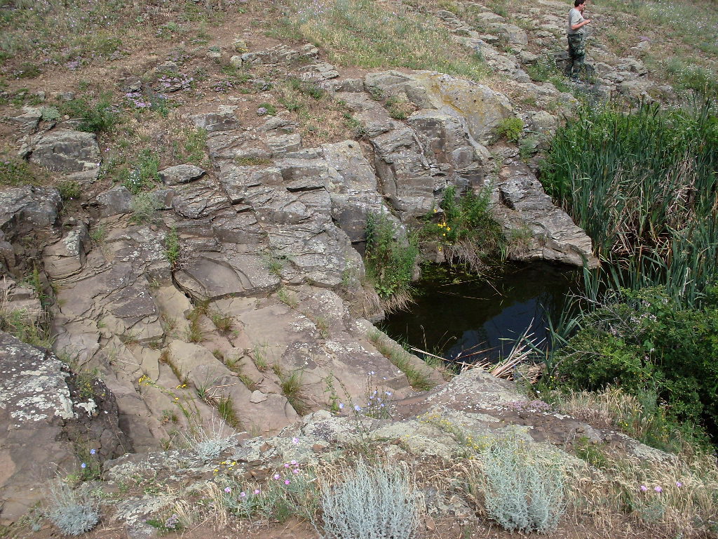 Окрестности хутора Грушёвка, image of landscape/habitat.