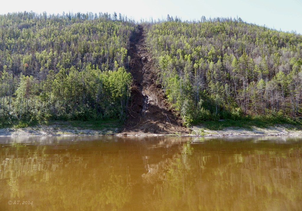 Ленские столбы, image of landscape/habitat.