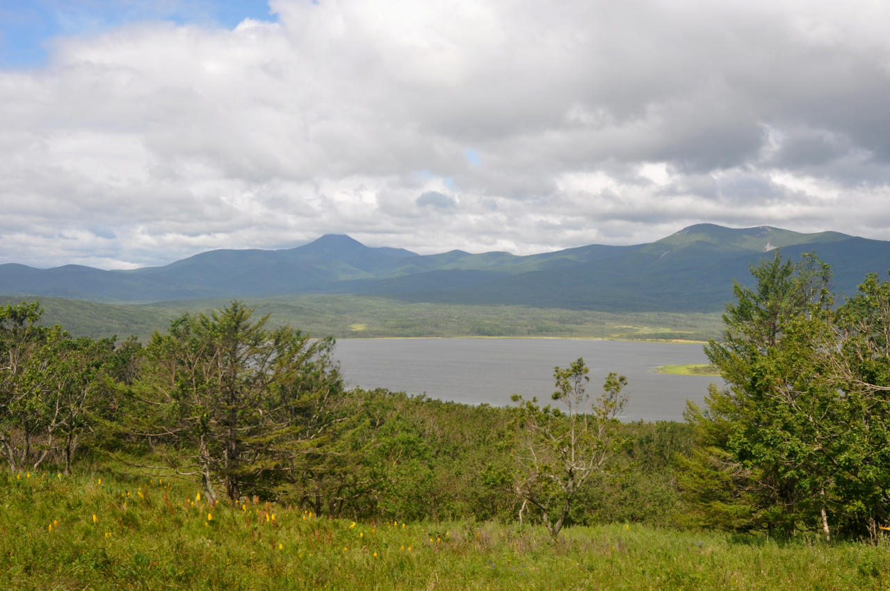 Бухта Удобная, image of landscape/habitat.