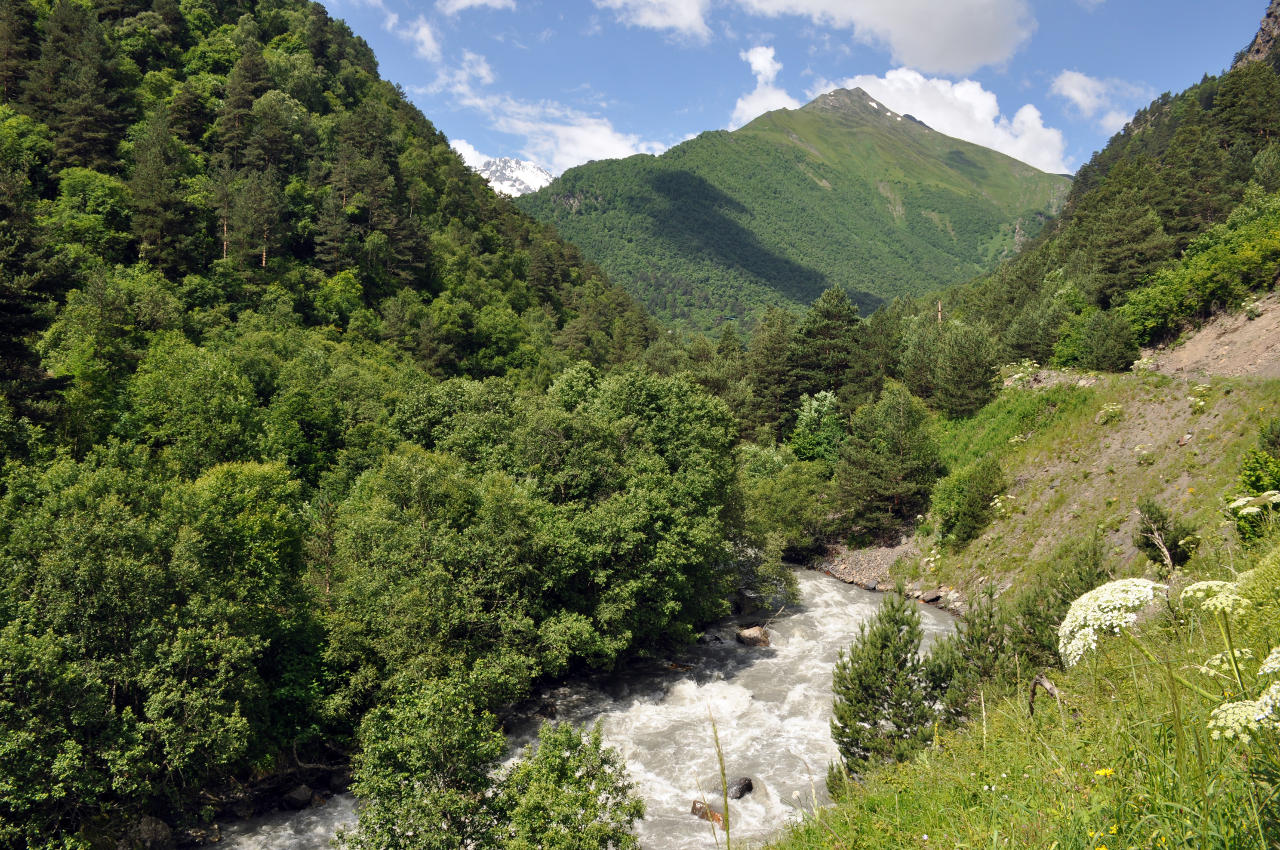 Верховья реки Урух, image of landscape/habitat.