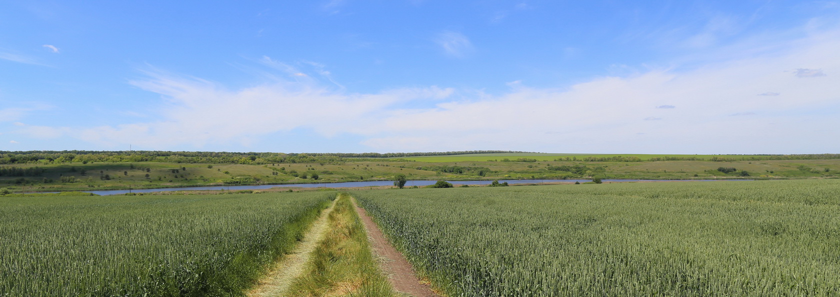 Долина реки М. Еланчик (Ф с/п), image of landscape/habitat.