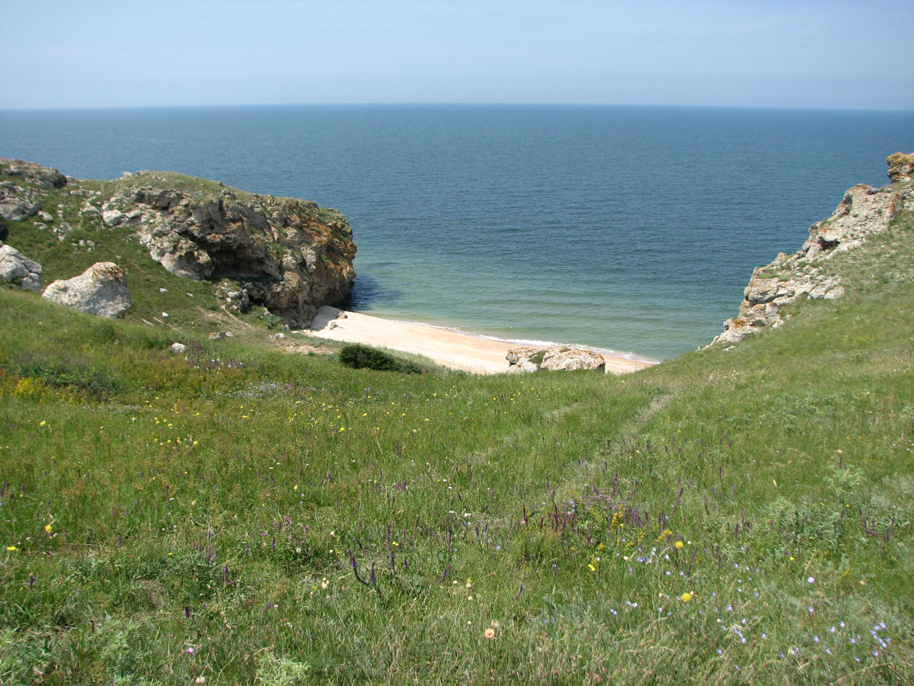 Караларская степь, image of landscape/habitat.